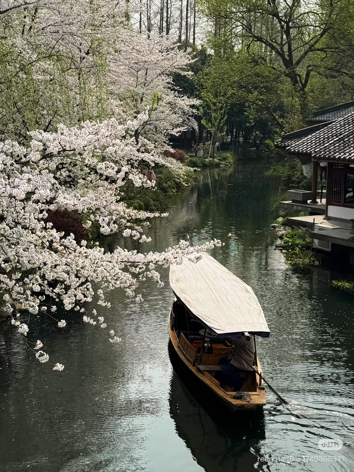 quyuan