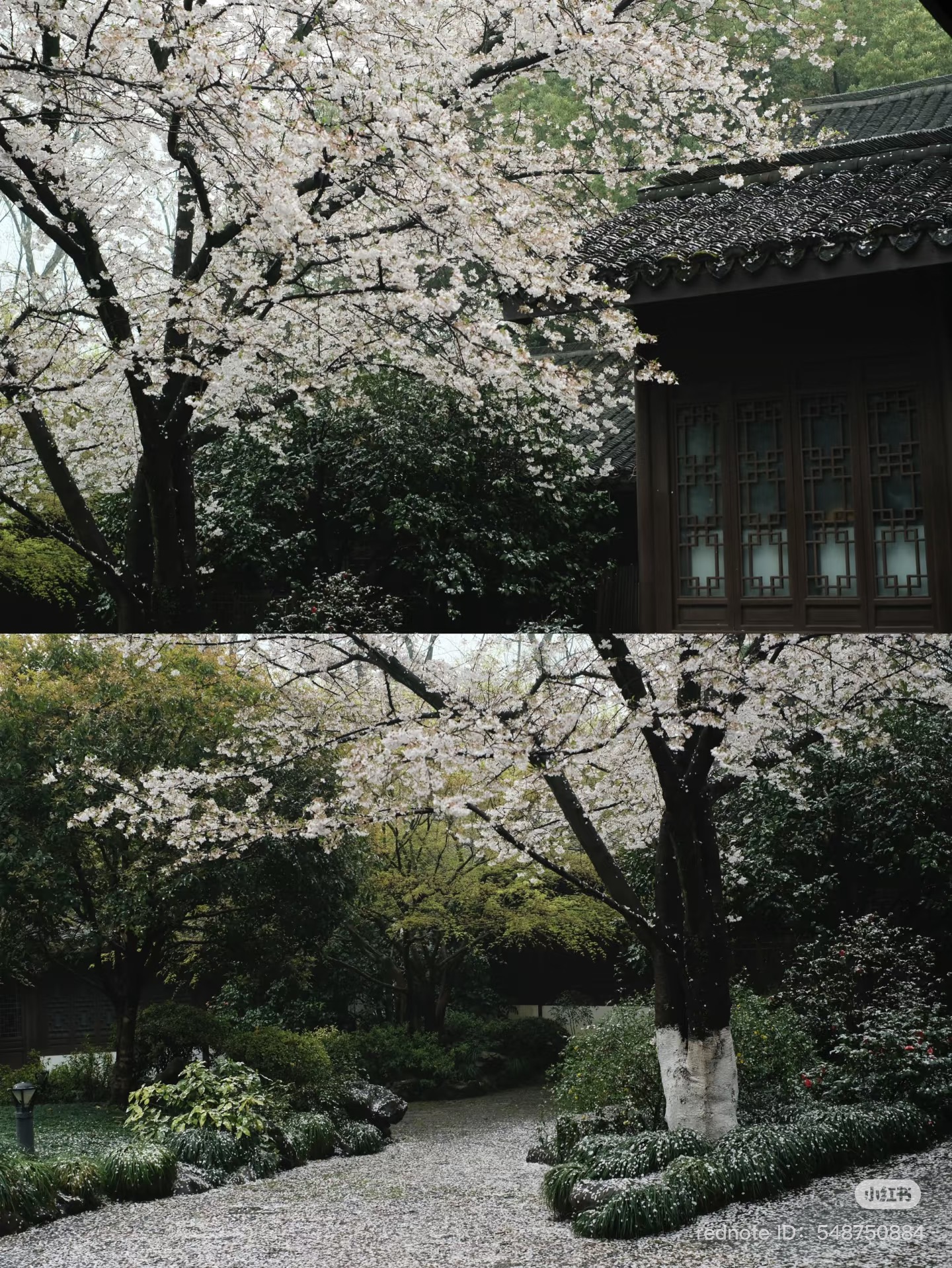 yunsong